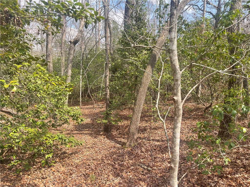 471 North Dellwood Road Mountain Rest, SC 29664 - Photo 11 of 12