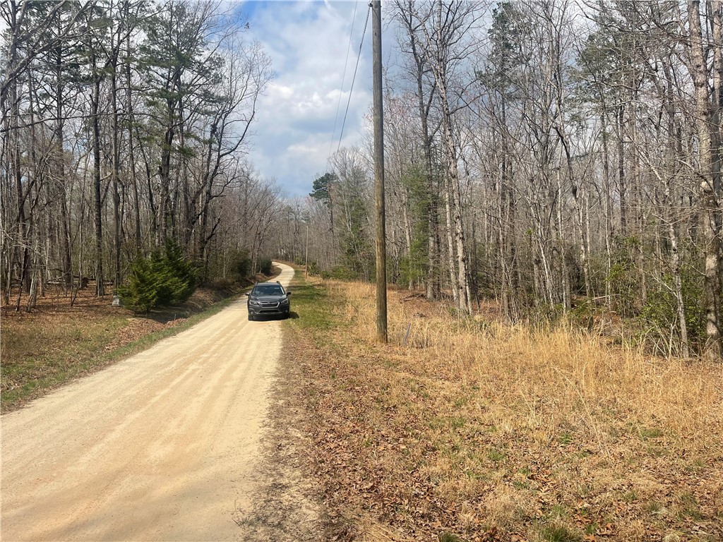471 North Dellwood Road Mountain Rest, SC 29664 - Photo 12 of 12