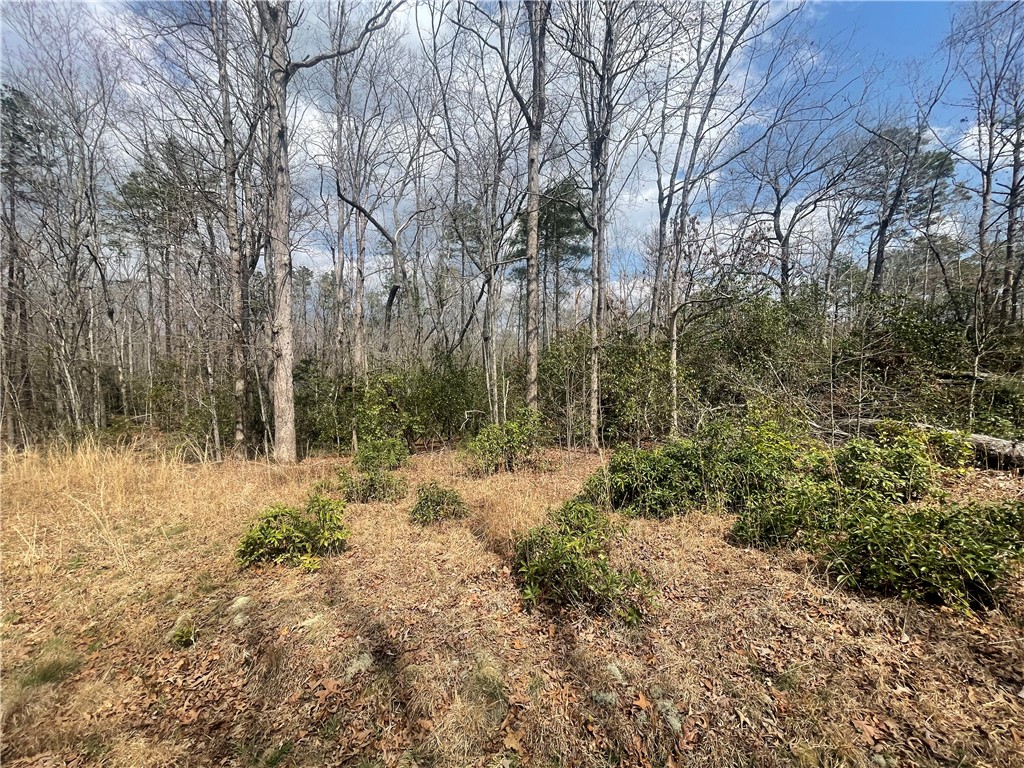 471 North Dellwood Road Mountain Rest, SC 29664 - Photo 4 of 12