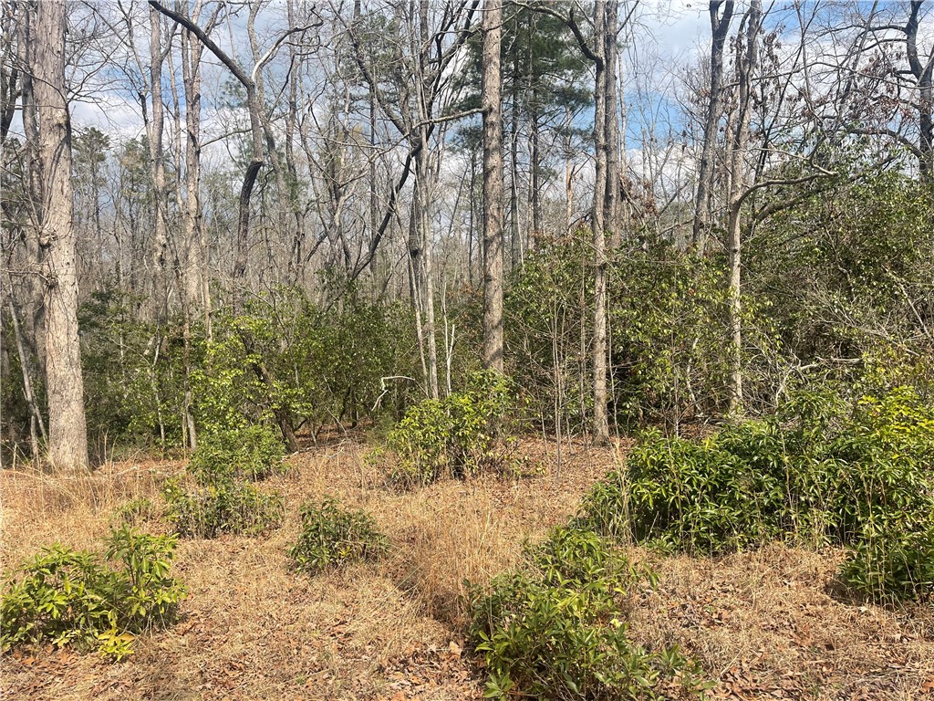 471 North Dellwood Road Mountain Rest, SC 29664 - Photo 5 of 12