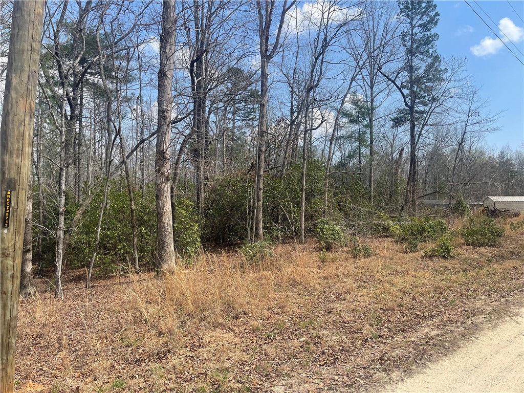 471 North Dellwood Road Mountain Rest, SC 29664 - Photo 6 of 12