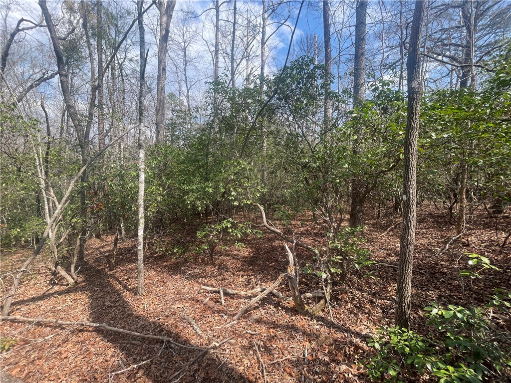 471 North Dellwood Road Mountain Rest, SC 29664 - Photo 7 of 12