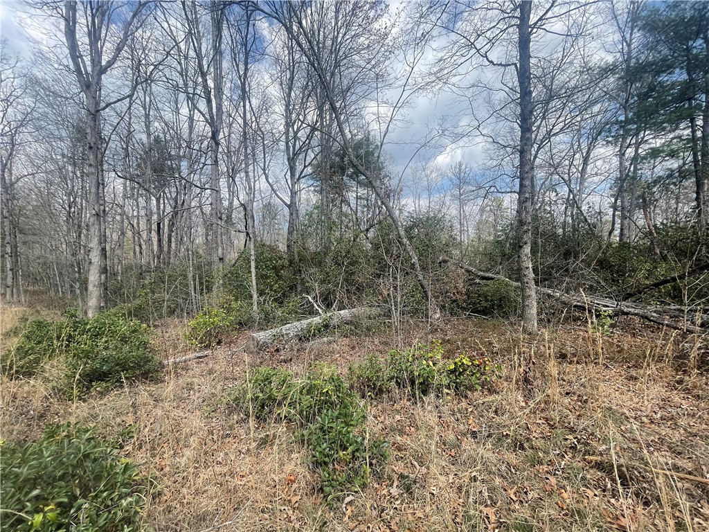 471 North Dellwood Road Mountain Rest, SC 29664 - Photo 8 of 12