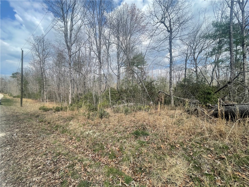 471 North Dellwood Road Mountain Rest, SC 29664 - Photo 9 of 12