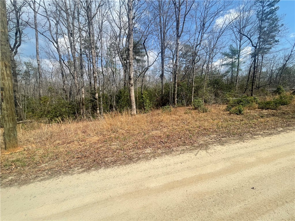 471 North Dellwood Road Mountain Rest, SC 29664 - Photo 10 of 12