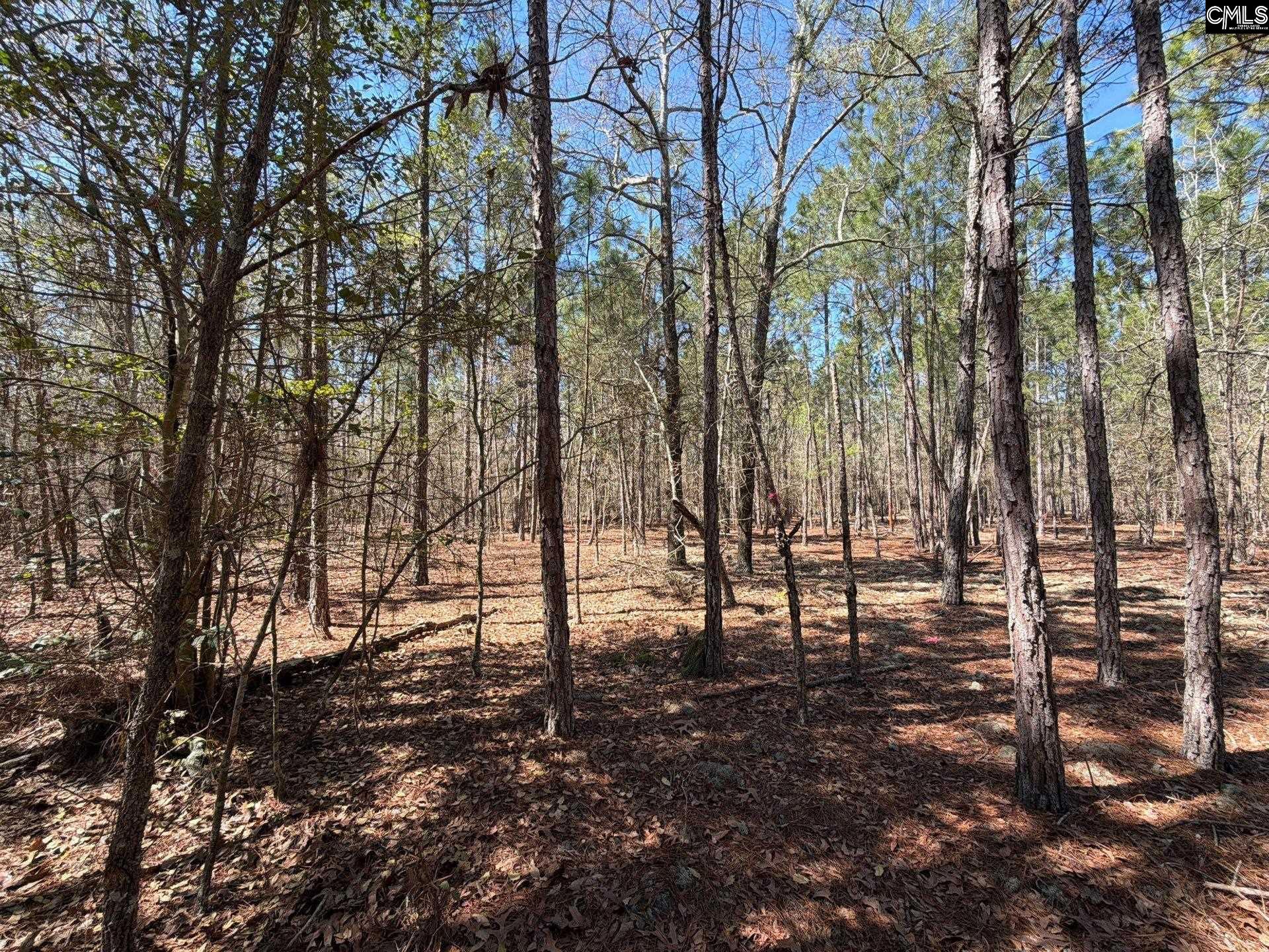 10 Boise Cascade Road, Unit BHL 10 Bethune, SC 29009 - Photo 17 of 24