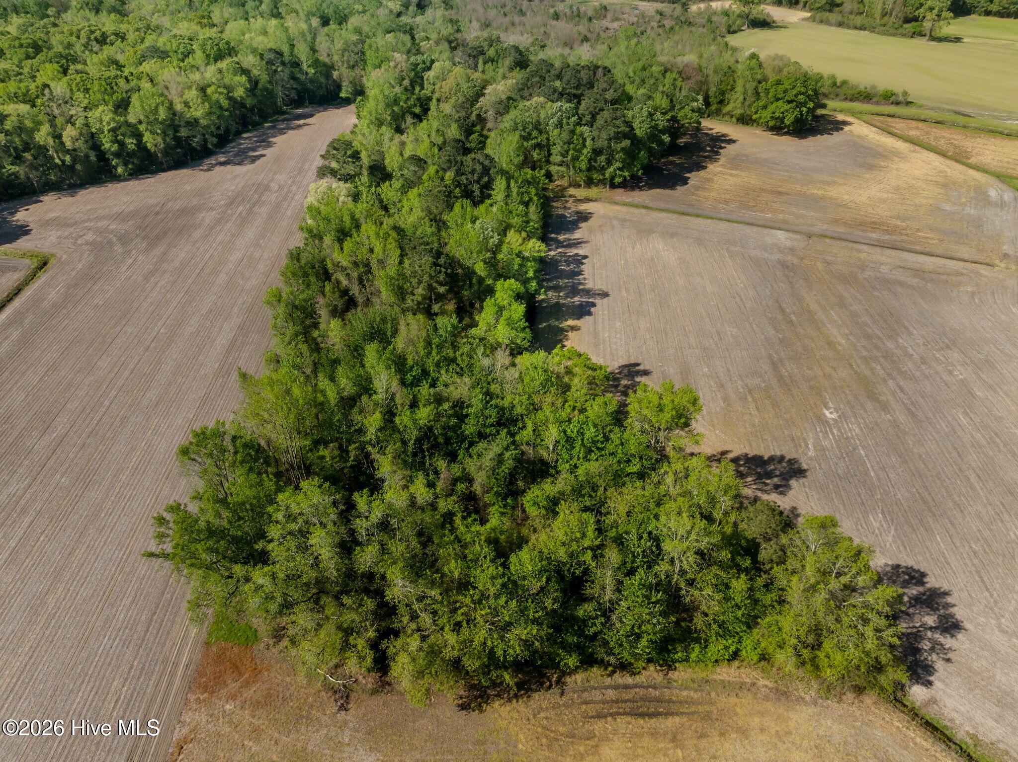 2760 Sarecta Road Pink Hill, NC 28572 - Photo 42 of 47 23-web-or-mls-22