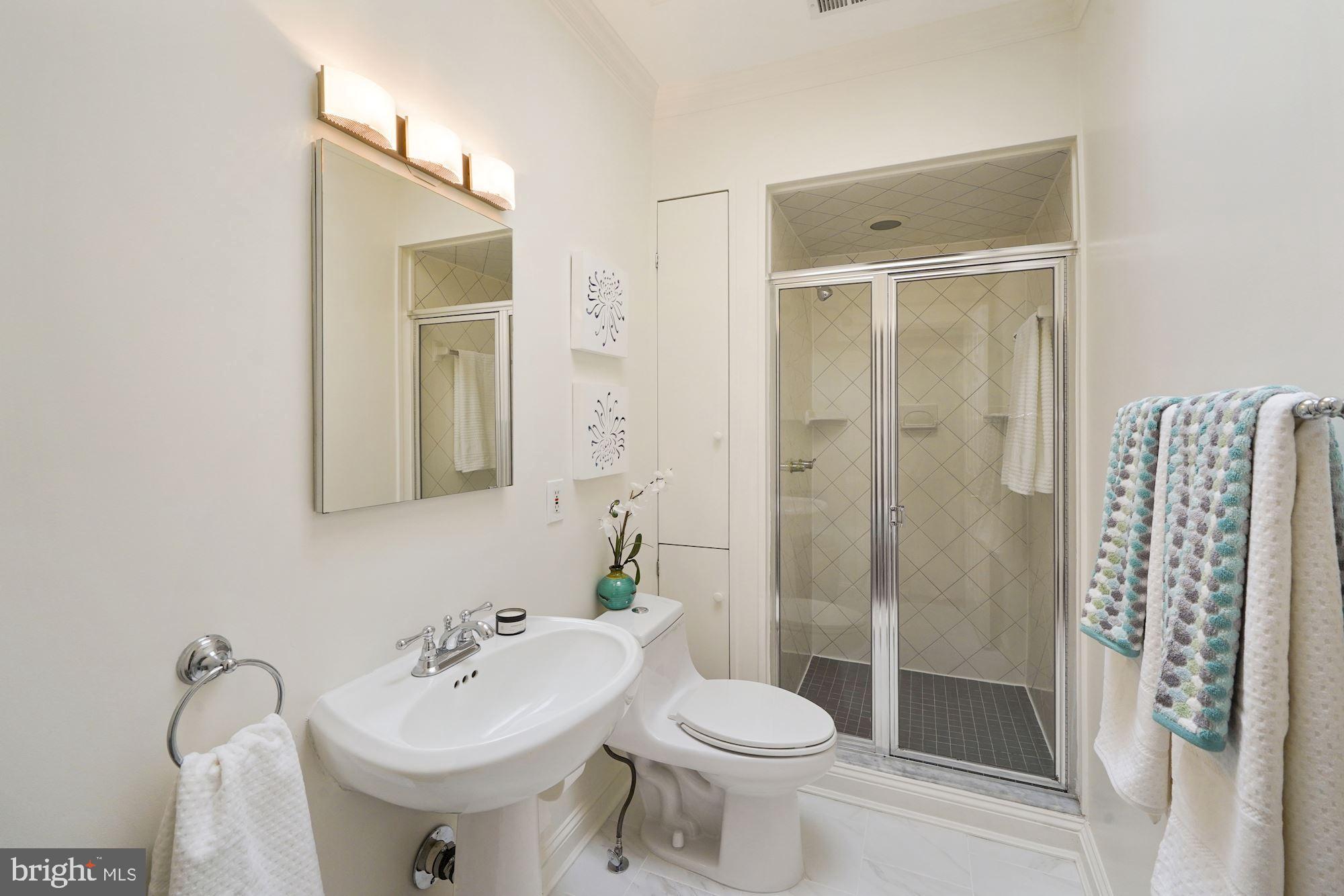 2409 Tunlaw Road Northwest Washington, DC 20007 - Photo 28 of 42 Bright 2nd Floor full bath with skylight