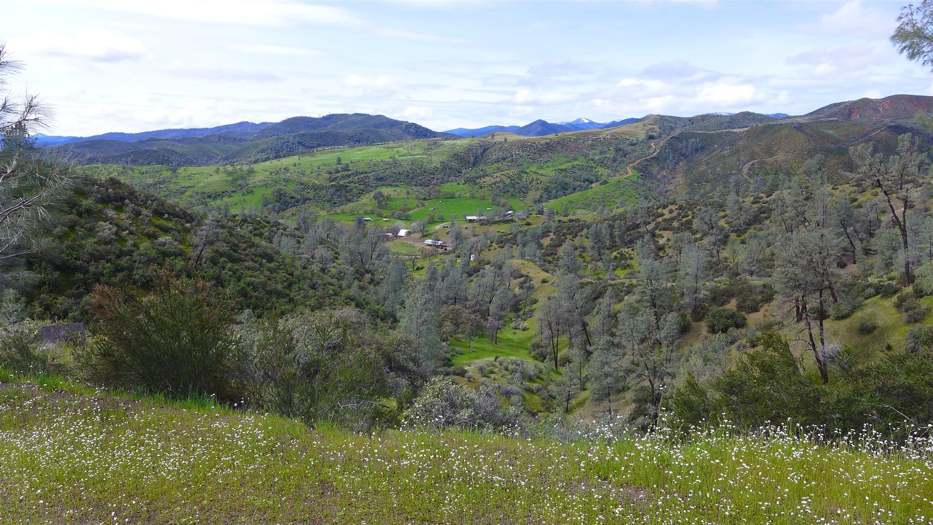 Lot 147 Wild Turkey Road Igo, CA 96047 - Photo 9 of 30 a view of a lush green forest with mountains in the background