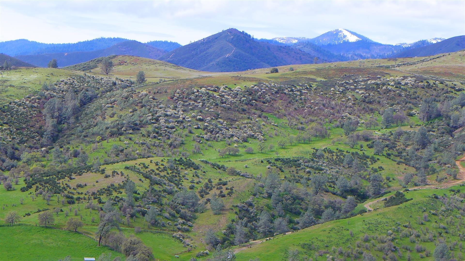 Lot 147 Wild Turkey Road Igo, CA 96047 - Photo 10 of 30 a view of a big yard with mountains in the background