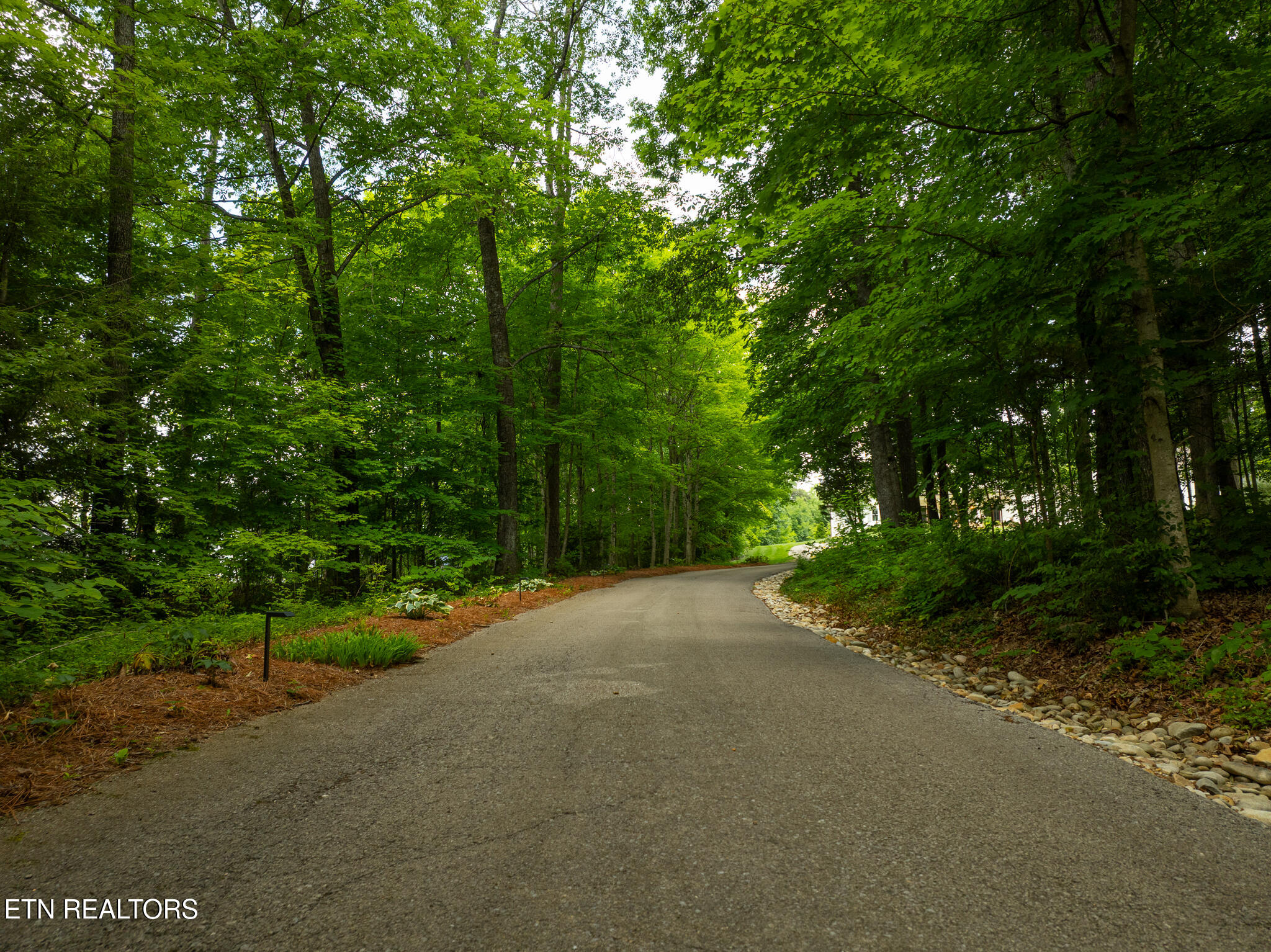 6701 Ridgerock Lane Knoxville, TN 37909 - Photo 58 of 60 untitled-69