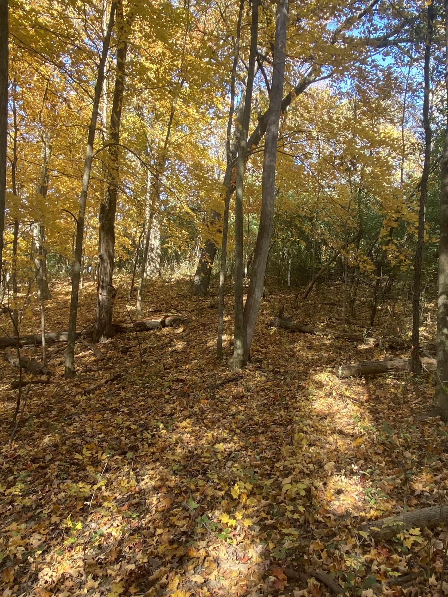 IMG_0914 (1)