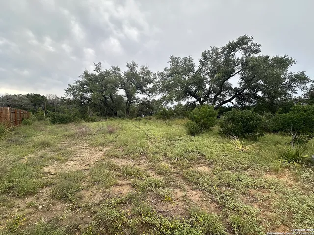 a view of a green yard