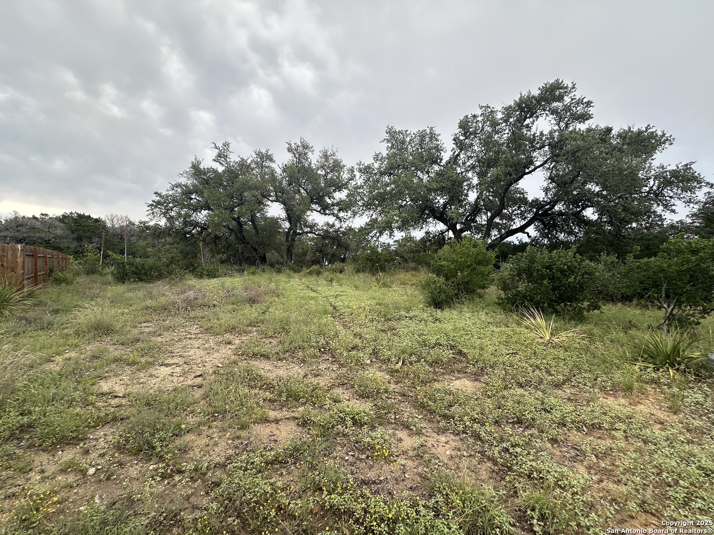 799 Mockingbird Cove Spring Branch, TX 78070 - Photo 3 of 5 a view of a green yard