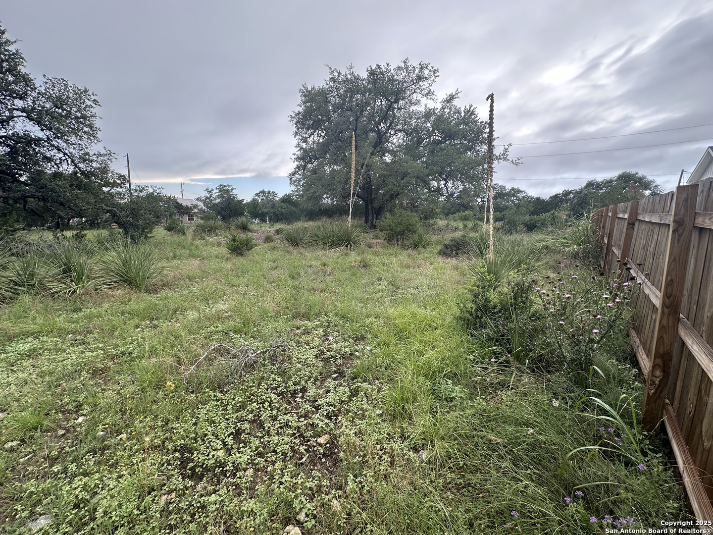 799 Mockingbird Cove Spring Branch, TX 78070 - Photo 4 of 5 a view of a green field with lots of bushes