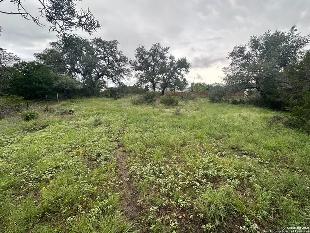 a view of yard with green space