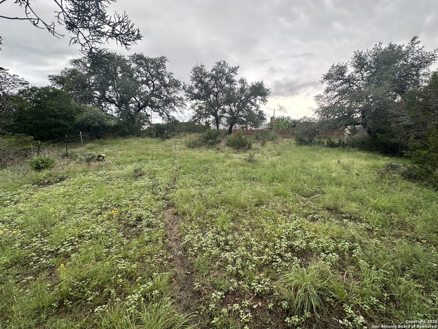 799 Mockingbird Cove Spring Branch, TX 78070 - Photo 5 of 5 a view of yard with green space