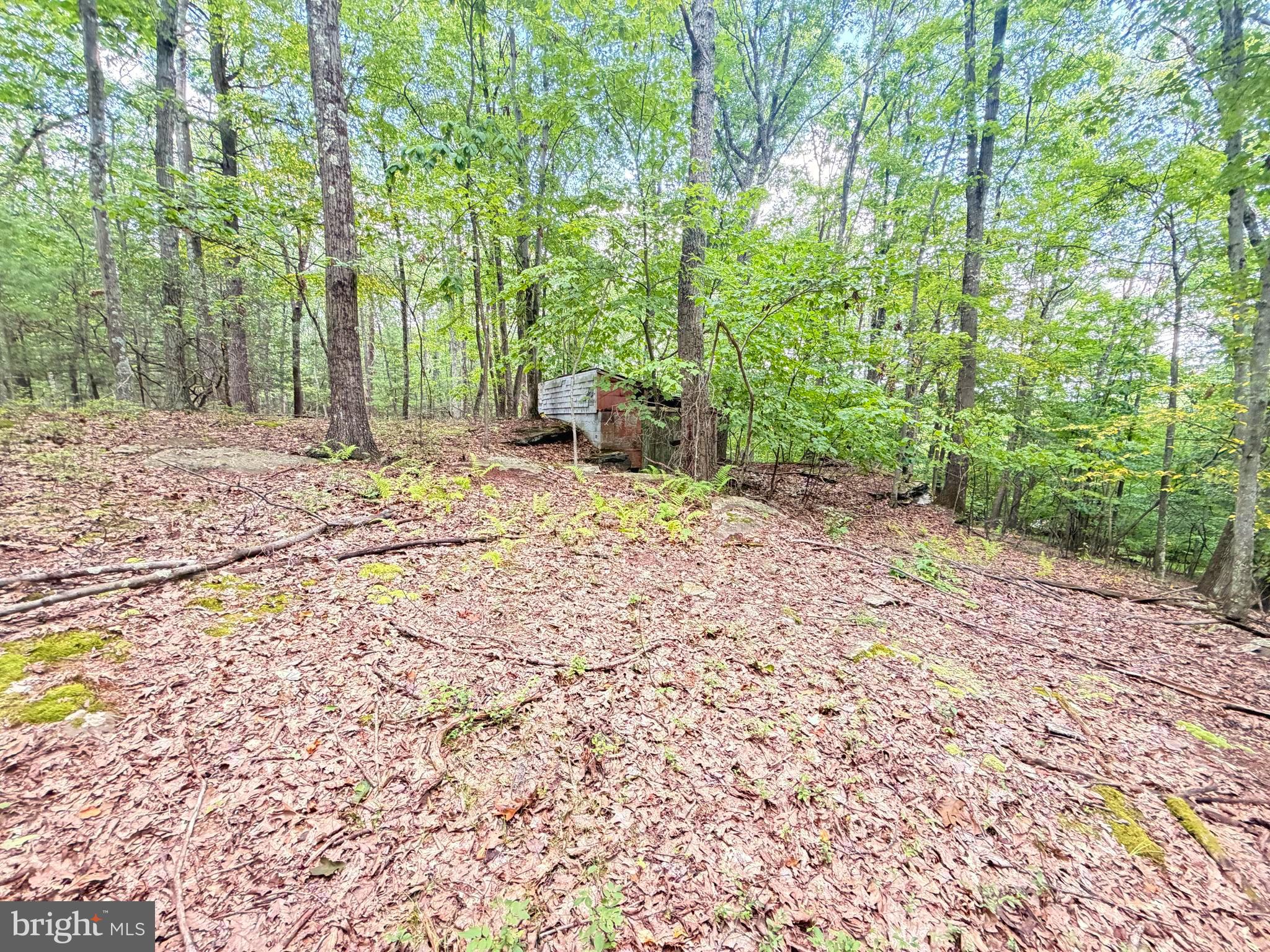 39 Goodwin Drive Hunlock Creek, PA 18621 - Photo 9 of 14 Gallery Image 9