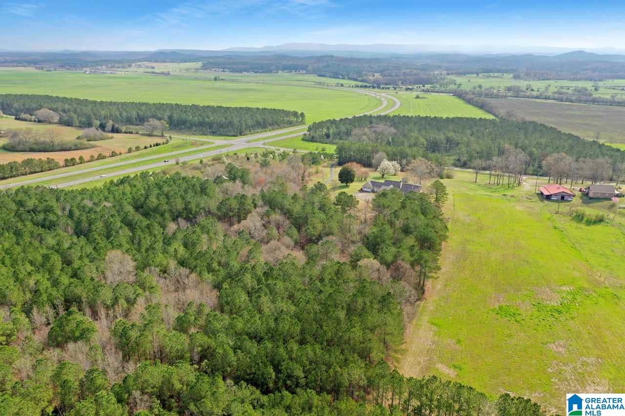 765 Eastaboga Road Talladega, AL 35160 - Photo 8 of 46