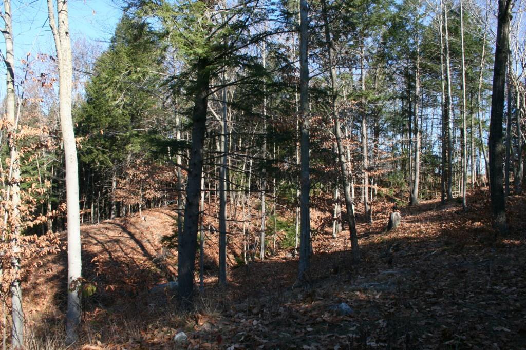 0 Hi Vista Road Brownfield, ME 04010 - Photo 10 of 11 Interior view at top.