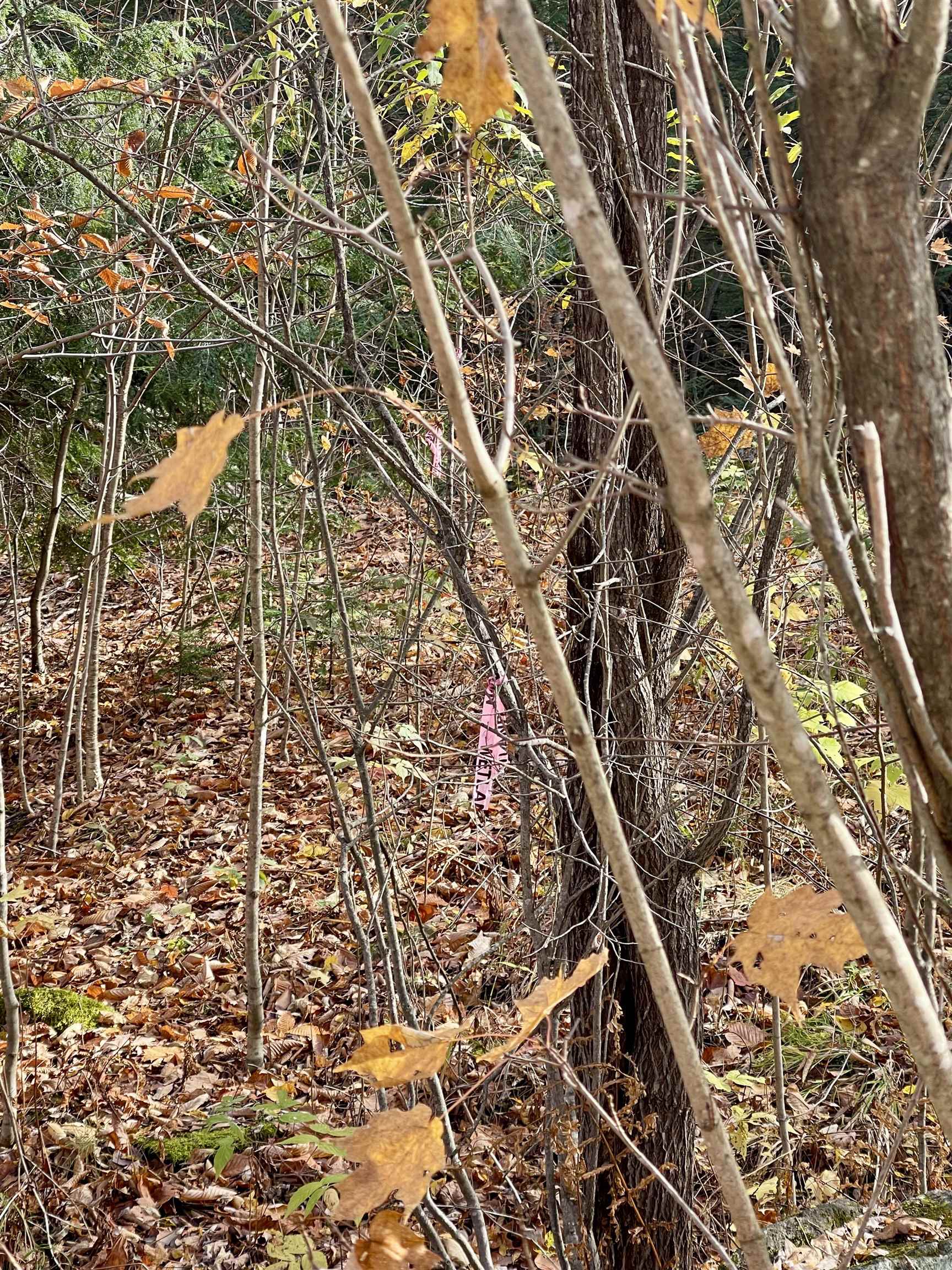 0 Foothills Drive, Unit LOT 20R Jay, VT 05859 - Photo 2 of 7