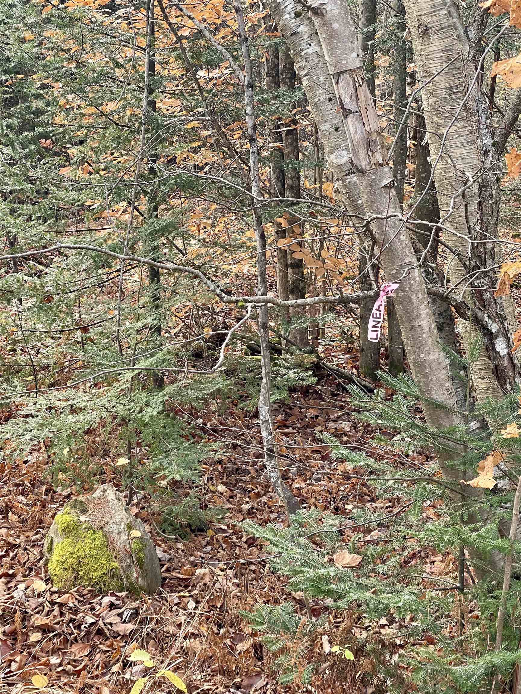 0 Foothills Drive, Unit LOT 20R Jay, VT 05859 - Photo 4 of 7