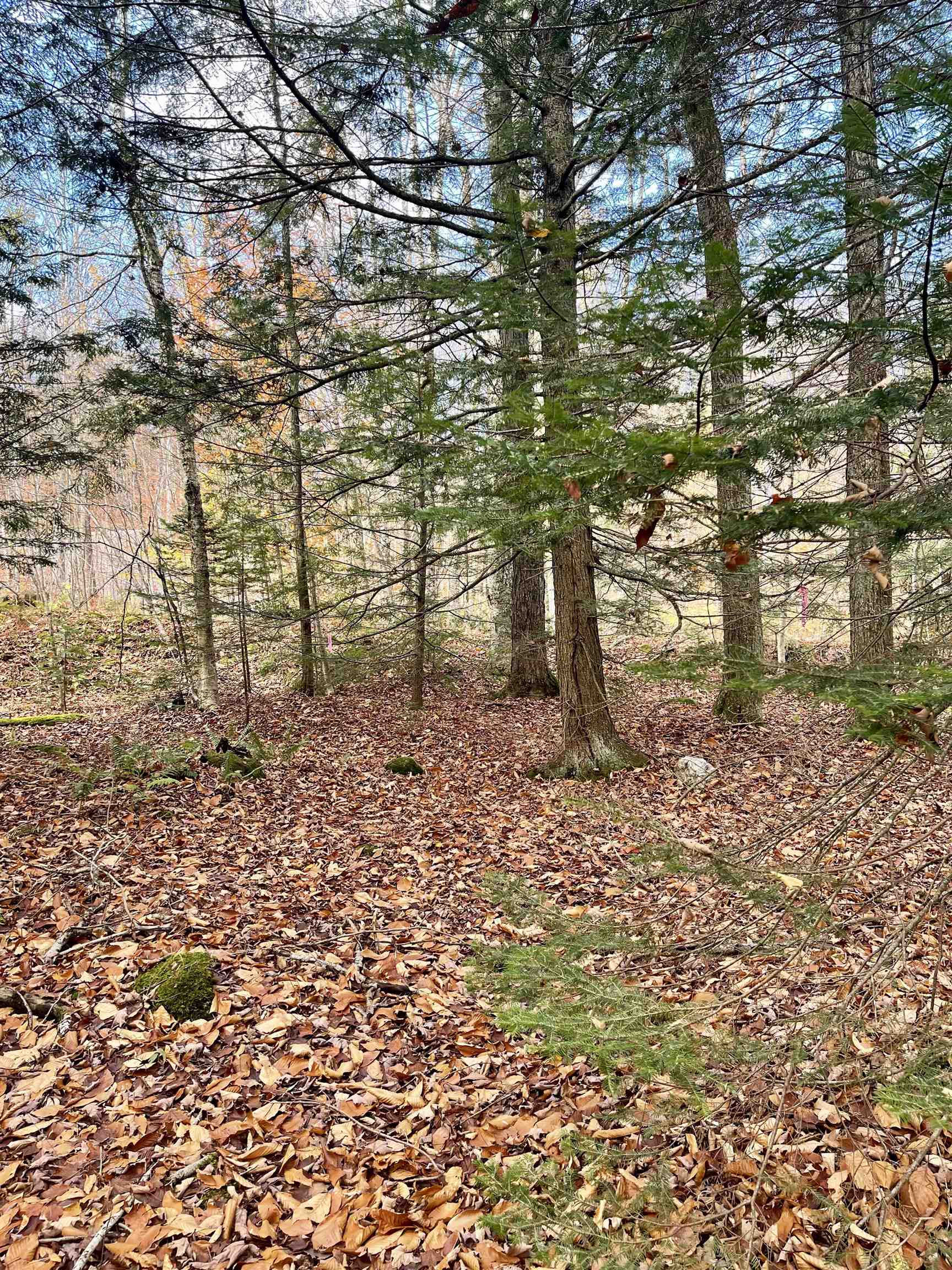 0 Foothills Drive, Unit LOT 20R Jay, VT 05859 - Photo 5 of 7