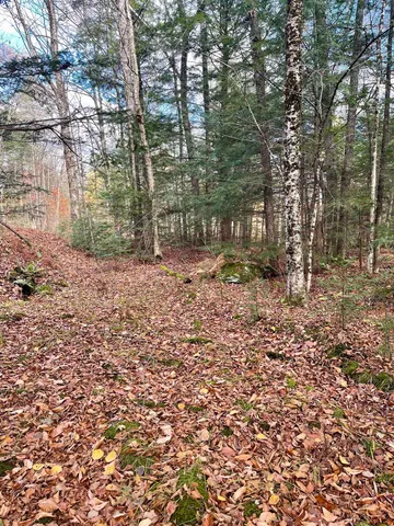 $89,900 | 0 Foothills Drive, Unit LOT 20R, Jay, VT 05859