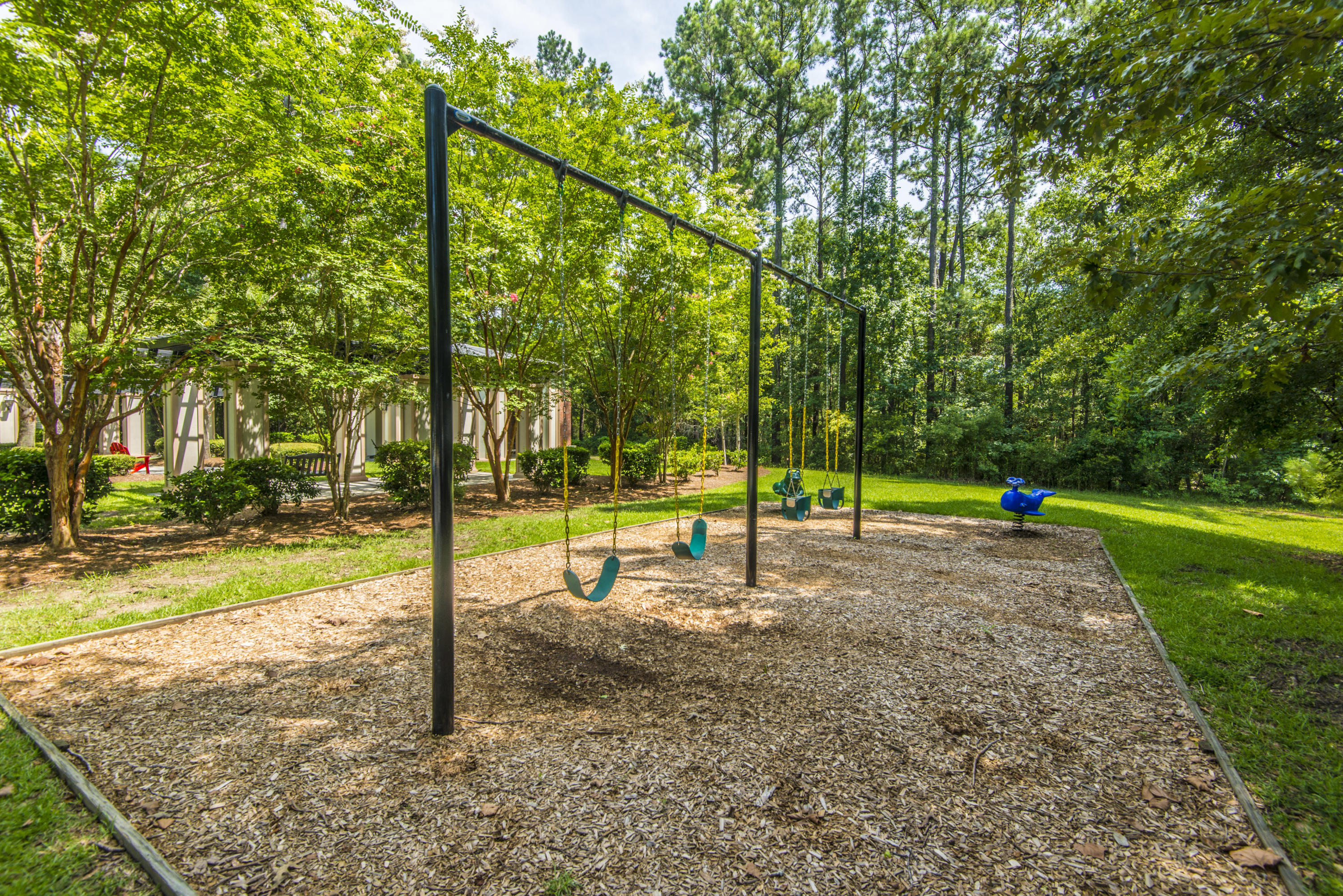 1802 Basildon Road Mount Pleasant, SC 29466 - Photo 40 of 44 Swings