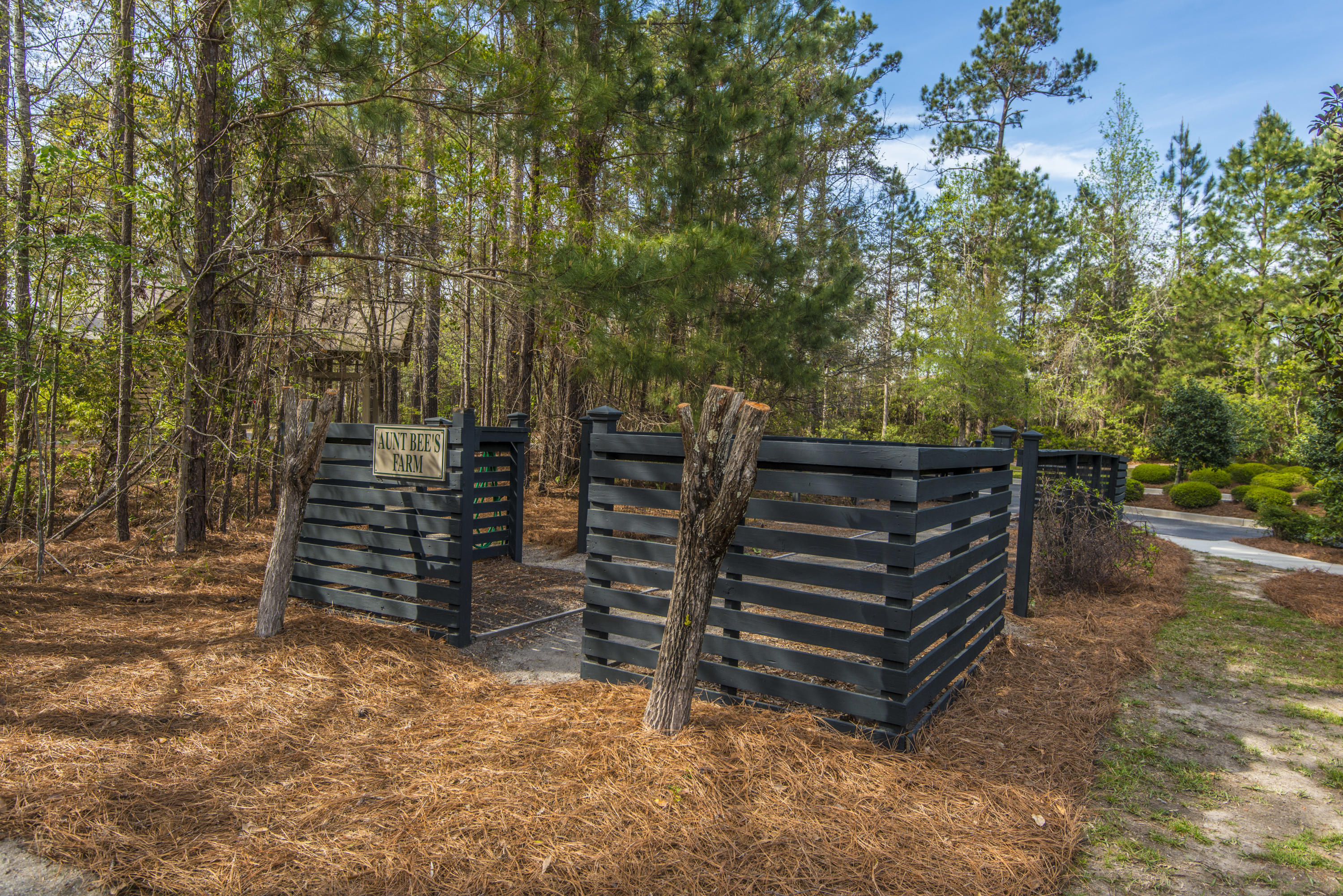 1802 Basildon Road Mount Pleasant, SC 29466 - Photo 41 of 44 Aunt Bee's Farm