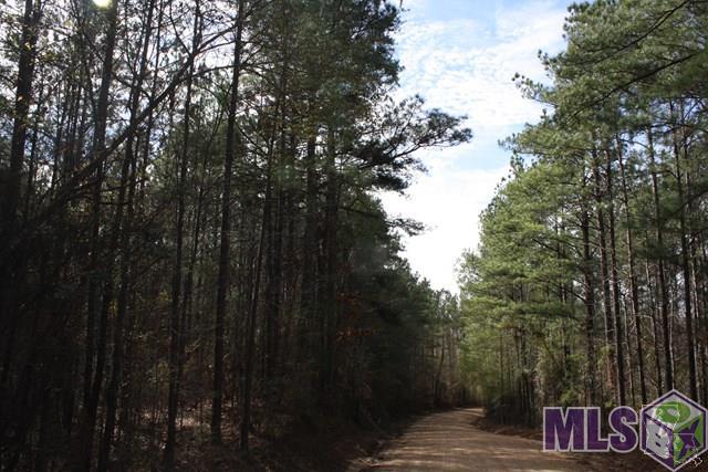 62 Oak Grove Road Meadville, MS 39653 - Photo 2 of 4