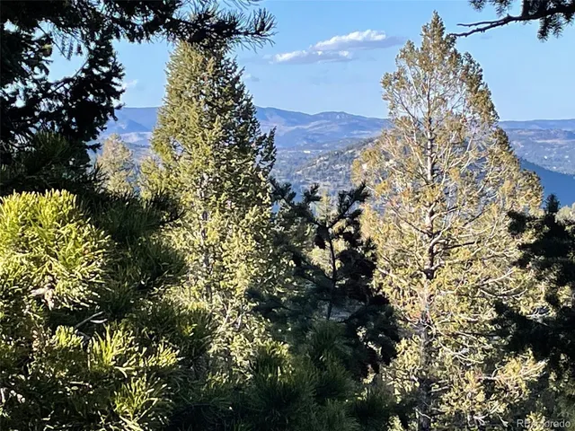 a large tree in the middle of a green field