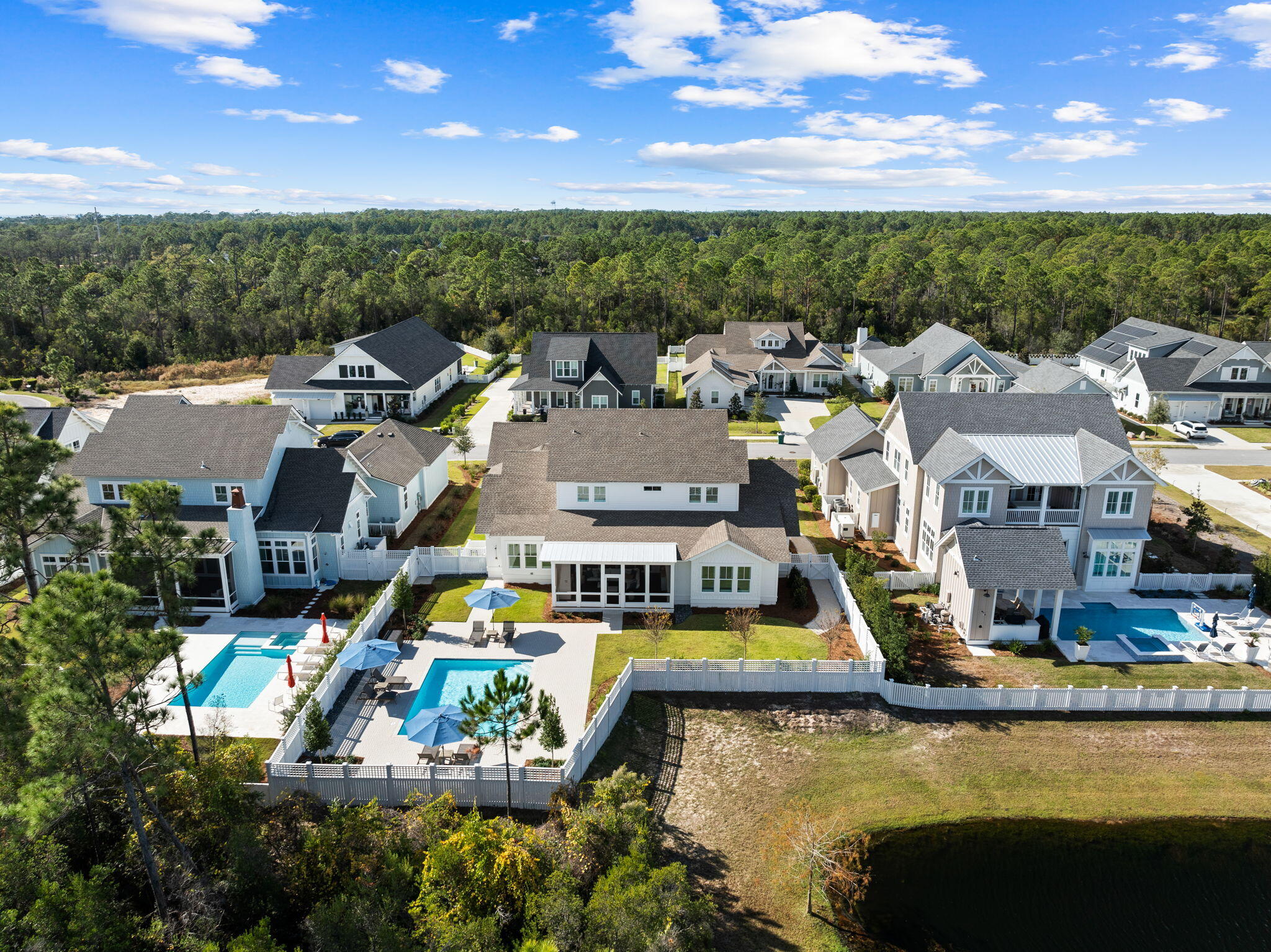 201 Needle Cast Ln Inlet Beach Inlet Beach, FL 32461 - Photo 17 of 92 Incredible .37 Acre Private Homesite