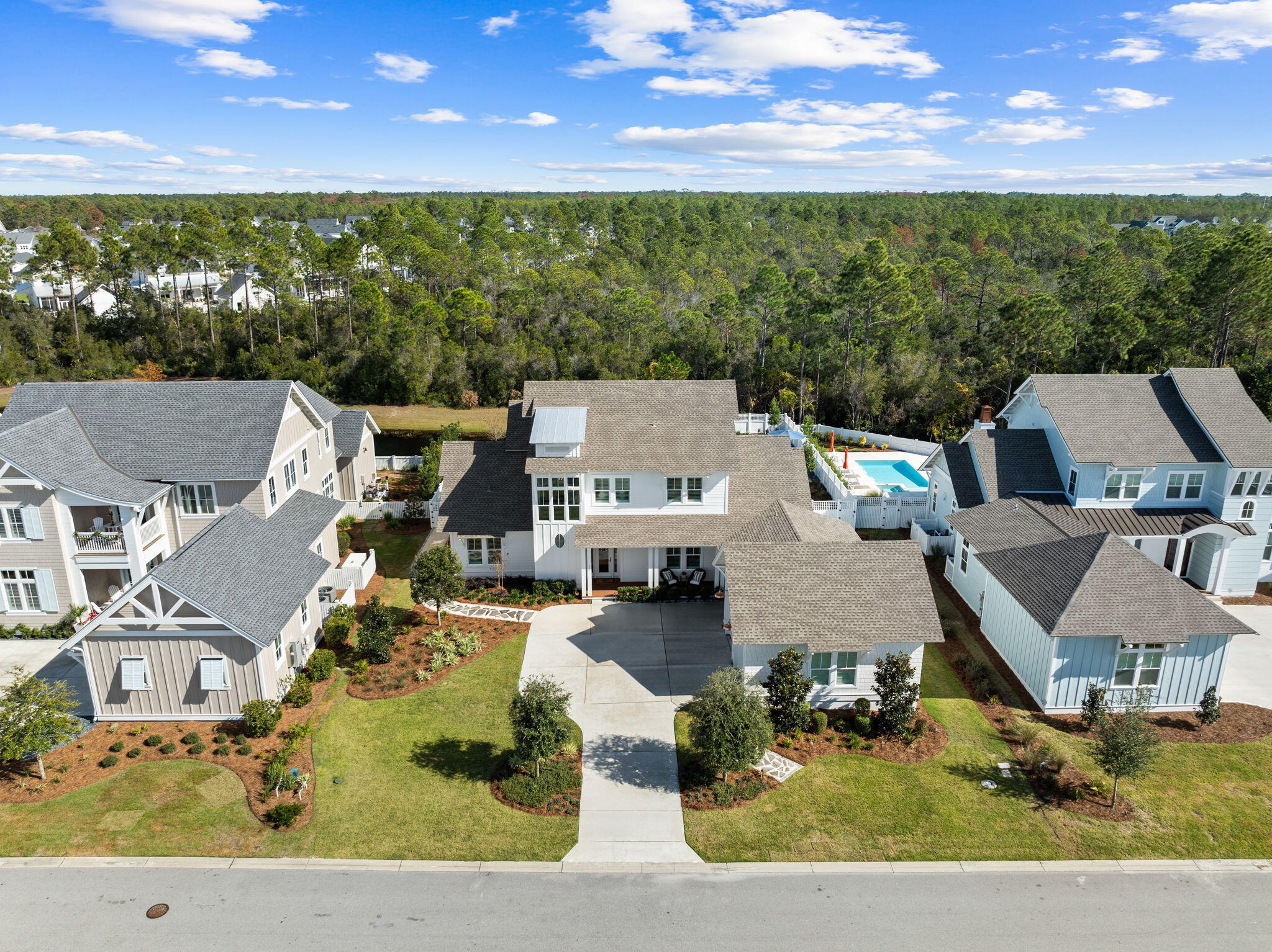 201 Needle Cast Ln Inlet Beach Inlet Beach, FL 32461 - Photo 74 of 92 an aerial view of a house with a big yard