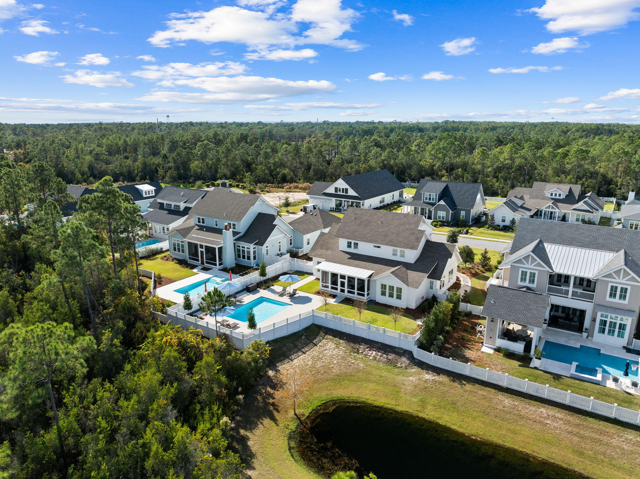 201 Needle Cast Ln Inlet Beach Inlet Beach, FL 32461 - Photo 77 of 92 Backs Up to Lake and Preserve