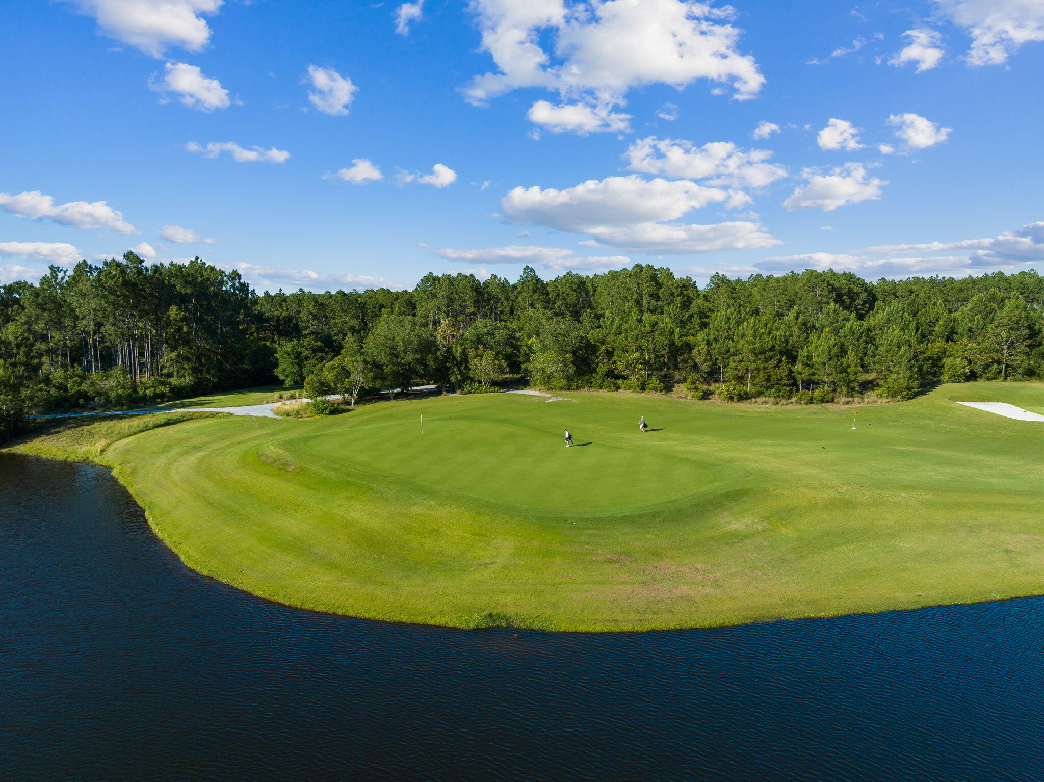 201 Needle Cast Ln Inlet Beach Inlet Beach, FL 32461 - Photo 92 of 92 a view of a golf course with a swimming pool