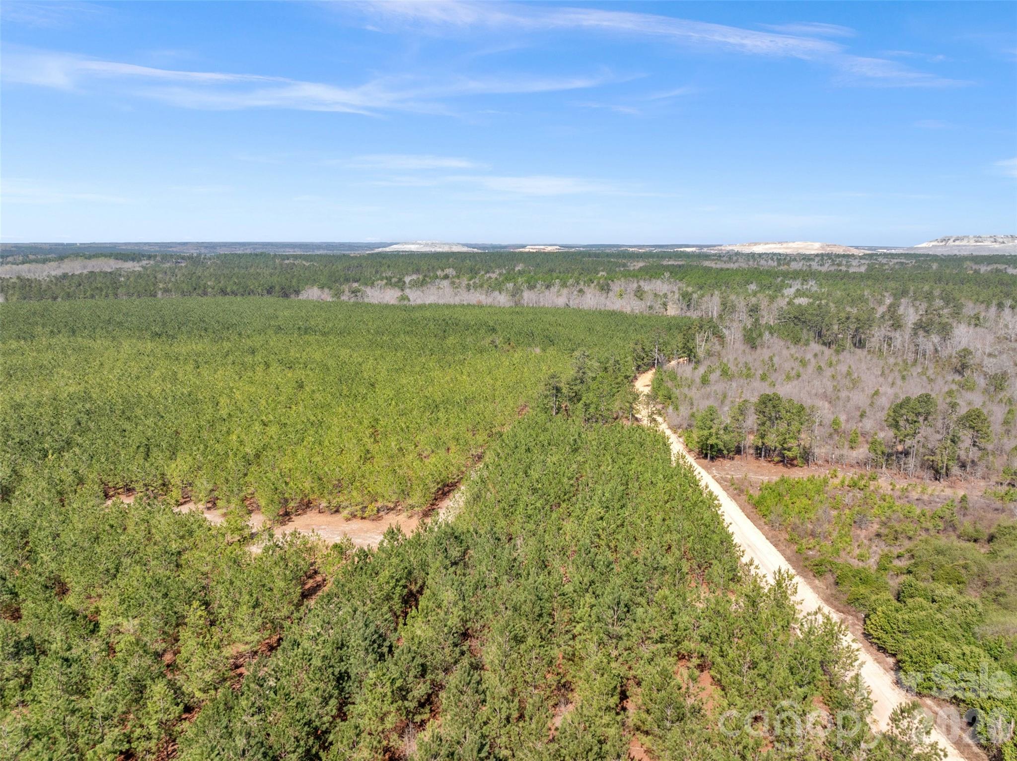 931 Charlie Johnson Road, Unit 7 Kershaw, SC 29067 - Photo 7 of 34