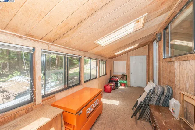 a view of a forest with trees