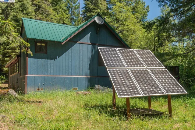 a view of a house with a large tree