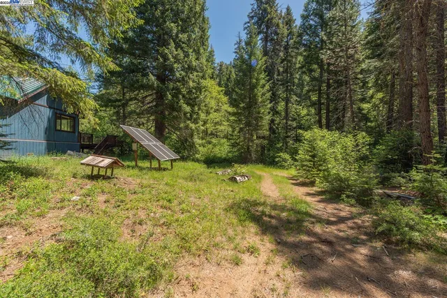 a backyard of a house with lots of green space