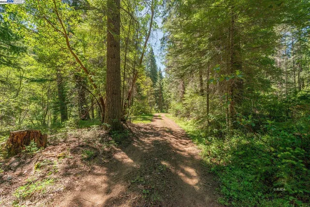 a view of a yard with table and chairs and potted plants