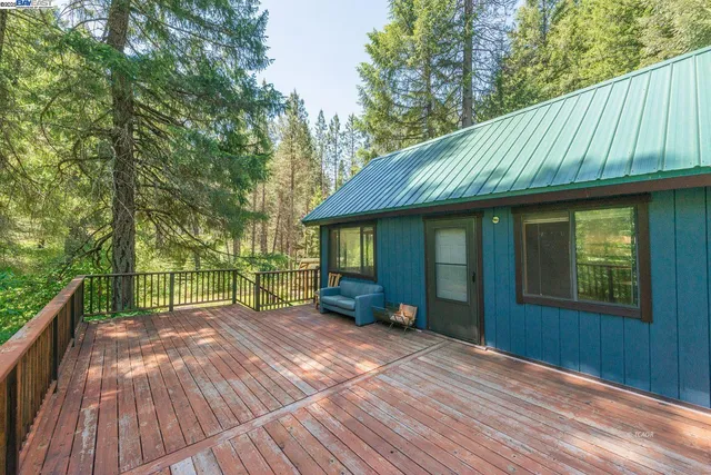 a view of a lush green forest