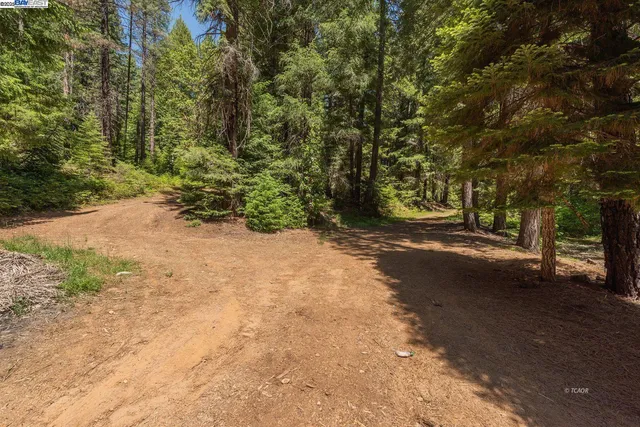 $357,000 | 11221 Corral Bottom Road, Big Bar, CA 96010