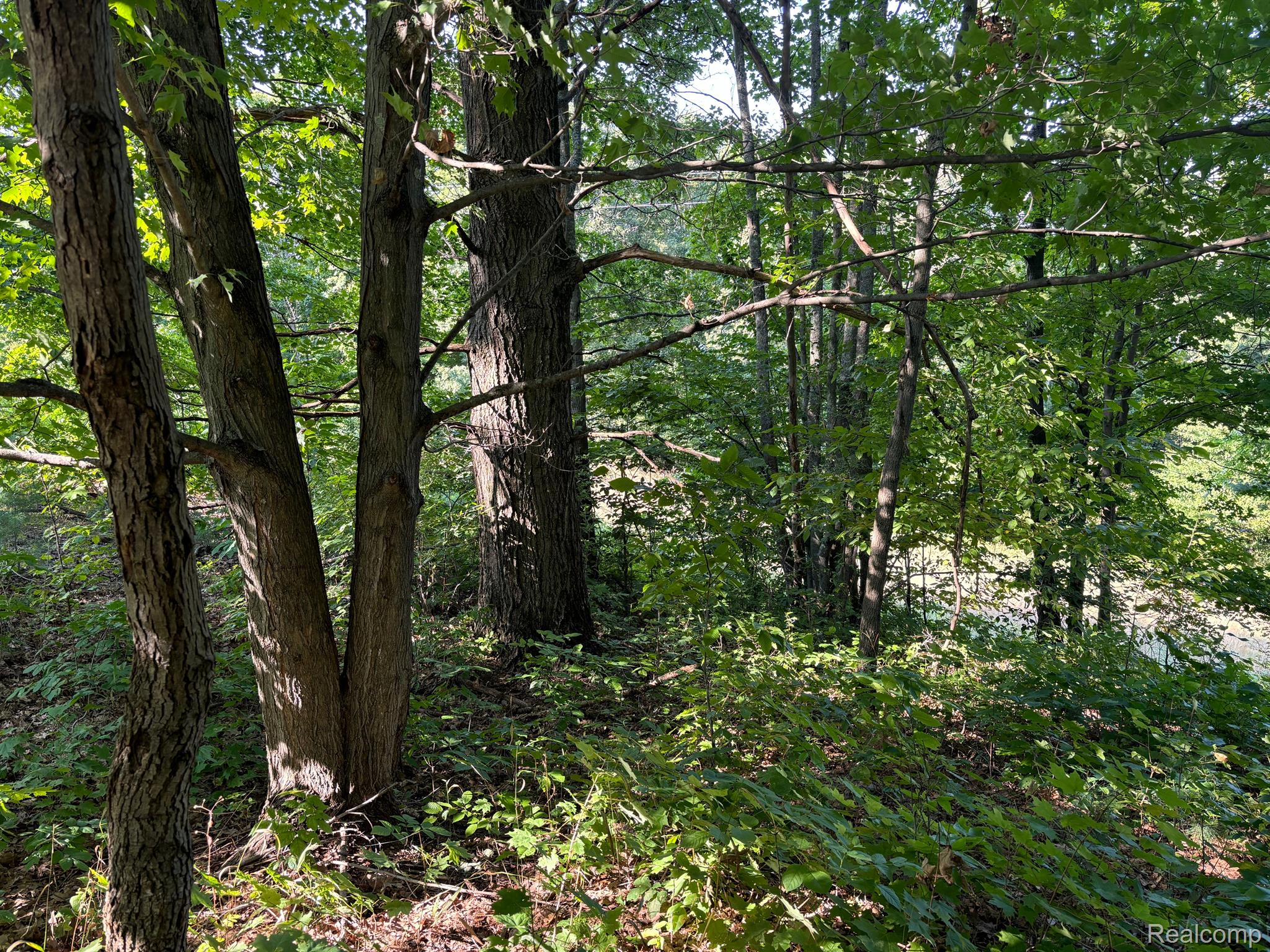 0 Newcosta Road Paris, MI 49338 - Photo 21 of 30 Gallery Image 21