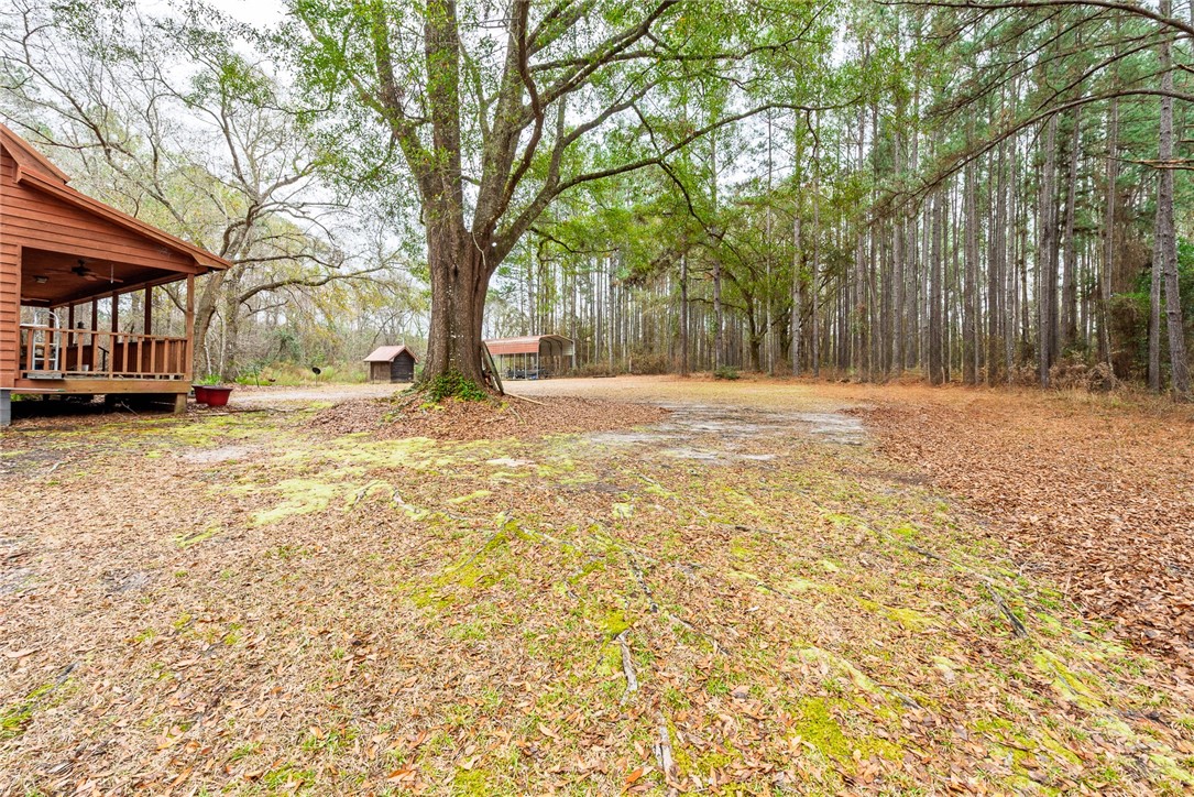 1670 Beaver Dam Road Odum, GA 31555 - Photo 16 of 70