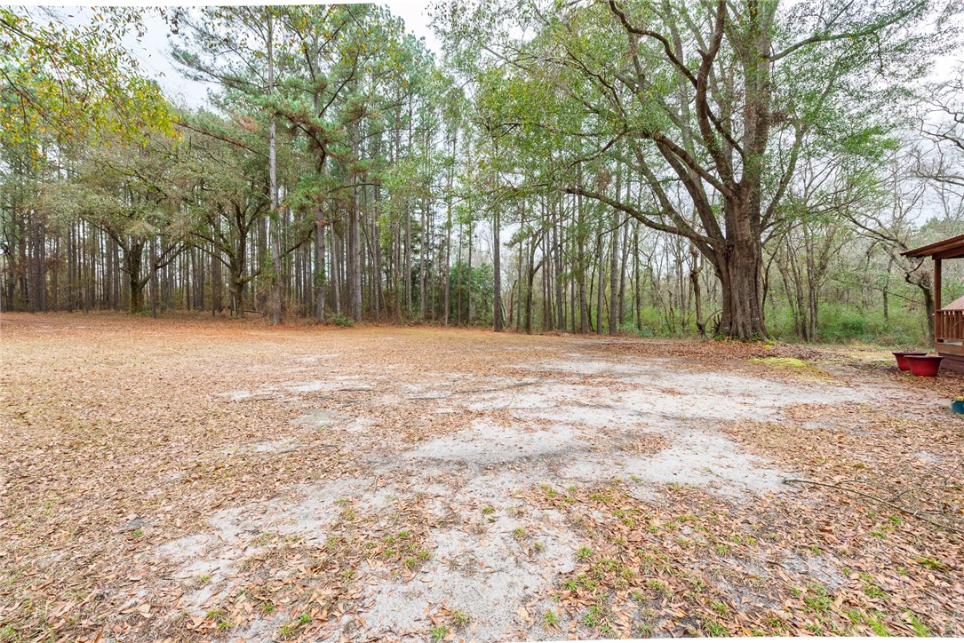 1670 Beaver Dam Road Odum, GA 31555 - Photo 17 of 70