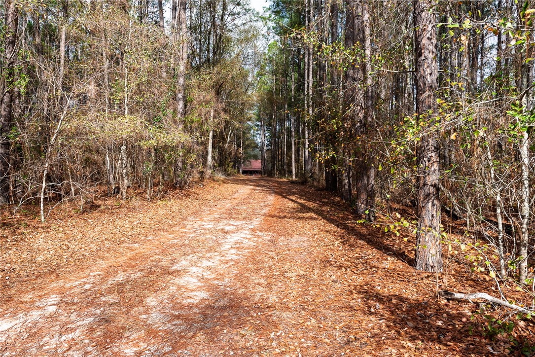 1670 Beaver Dam Road Odum, GA 31555 - Photo 22 of 70