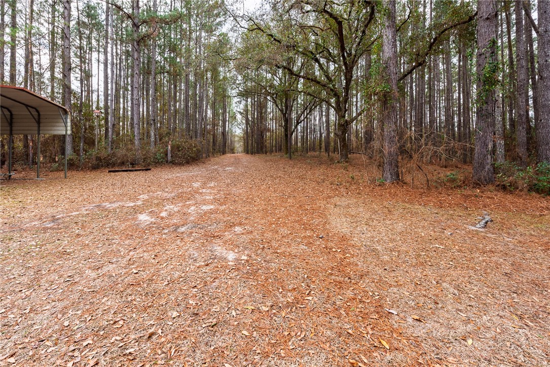 1670 Beaver Dam Road Odum, GA 31555 - Photo 23 of 70