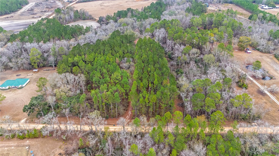 1670 Beaver Dam Road Odum, GA 31555 - Photo 34 of 70