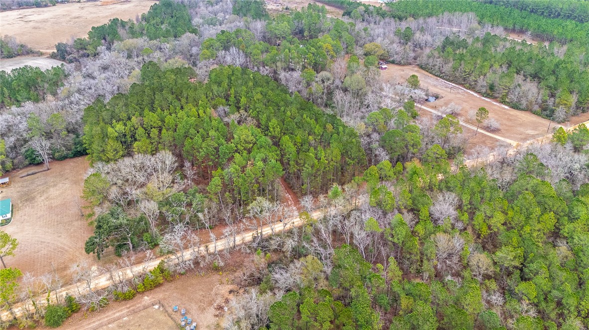 1670 Beaver Dam Road Odum, GA 31555 - Photo 37 of 70